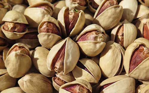Jumbo Pistachio