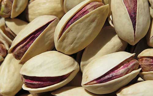 Long Pistachio