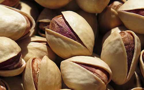 Round Pistachio