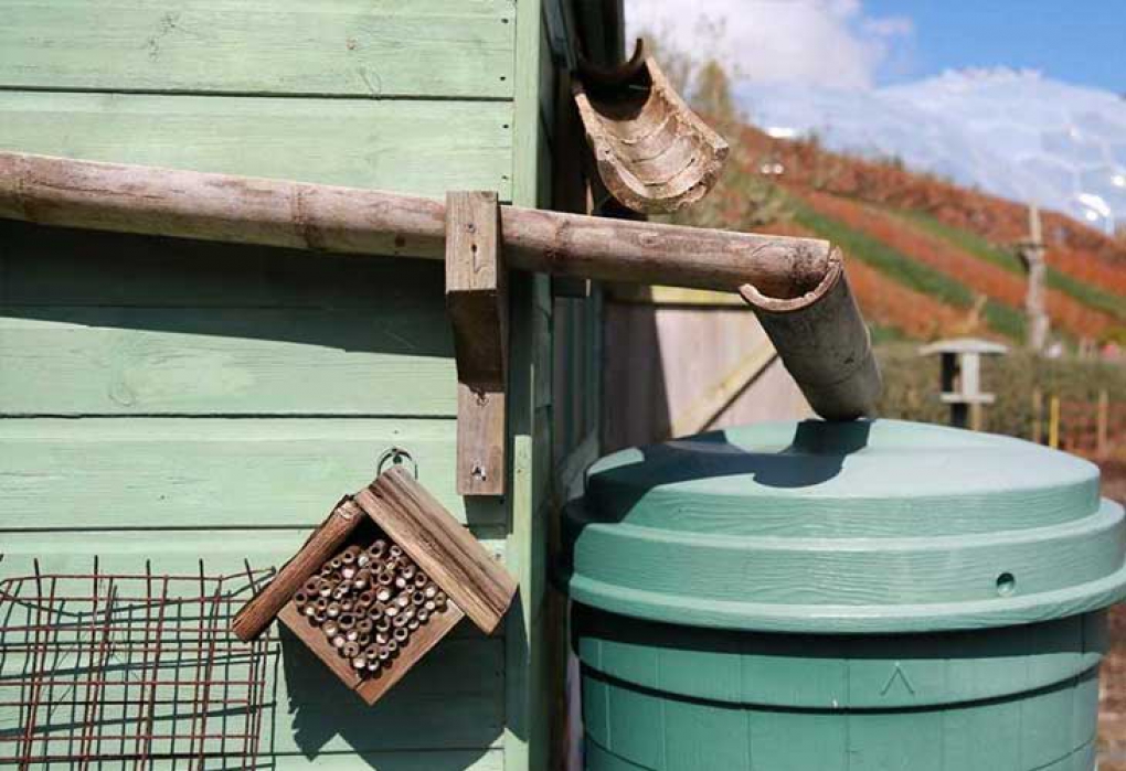 Water saving tips